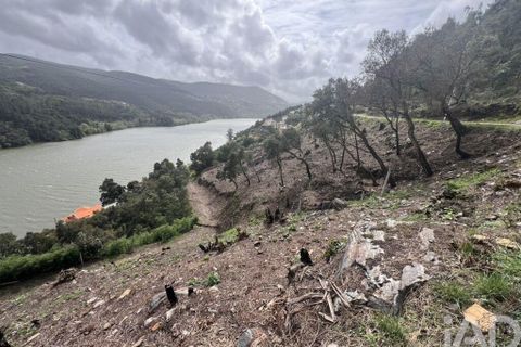 Terra a Penafiel, Porto, Penafiel - € 435.000 | Ref: 934231 - foto 12