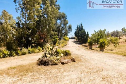 Villa a Castelo Branco, Castelo Branco, Castelo Branco - € 398.000 | Ref: 21-11869A - foto 4
