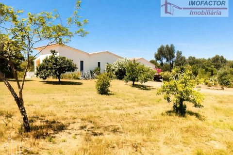 Villa a Castelo Branco, Castelo Branco, Castelo Branco - € 398.000 | Ref: 21-11869A - foto 6