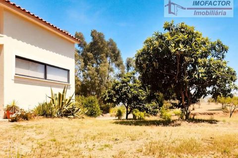 Villa a Castelo Branco, Castelo Branco, Castelo Branco - € 398.000 | Ref: 21-11869A - foto 8