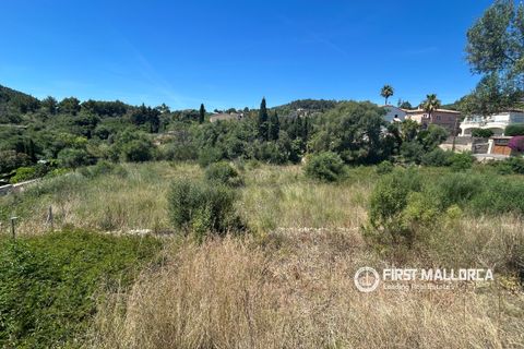 Terra a Es Capdella, Mallorca, Es Capdella - € 1.500.000 | Ref: 83761 - foto 2