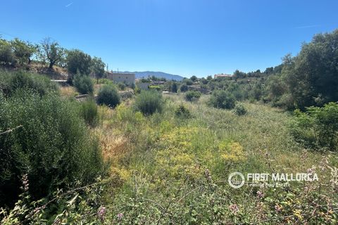 Terra a Es Capdella, Mallorca, Es Capdella - € 1.500.000 | Ref: 83761 - foto 3