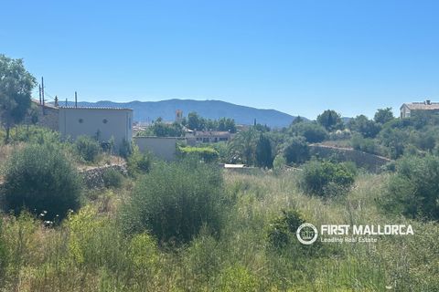 Terra a Es Capdella, Mallorca, Es Capdella - € 1.500.000 | Ref: 83761 - foto 4