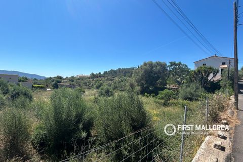Terra a Es Capdella, Mallorca, Es Capdella - € 1.500.000 | Ref: 83761 - foto 5