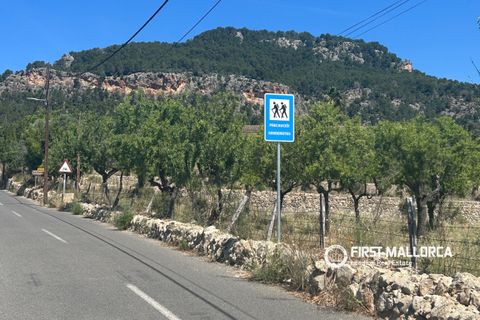Terra a Es Capdella, Mallorca, Es Capdella - € 1.500.000 | Ref: 83761 - foto 7