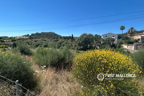 Terra a Es Capdella, Mallorca, Es Capdella - € 1.500.000 | Ref: 83761 - foto 9