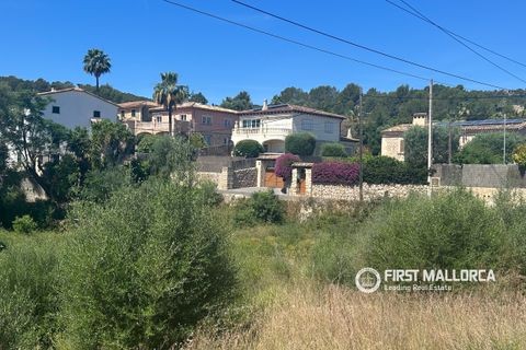 Terra a Es Capdella, Mallorca, Es Capdella - € 1.500.000 | Ref: 83761 - foto 10
