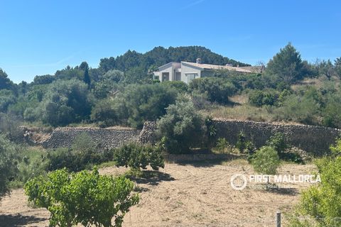 Terra a Es Capdella, Mallorca, Es Capdella - € 1.500.000 | Ref: 83761 - foto 11