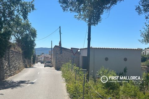 Terra a Es Capdella, Mallorca, Es Capdella - € 1.500.000 | Ref: 83761 - foto 12