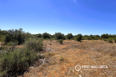 Terra a Campos, Mallorca, Campos - € 750.000 | Ref: 83830 - foto 3