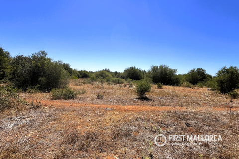 Terra a Campos, Mallorca, Campos - € 750.000 | Ref: 83830 - foto 6