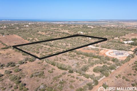 Terra a Campos, Mallorca, Campos - € 750.000 | Ref: 83830 - foto 2