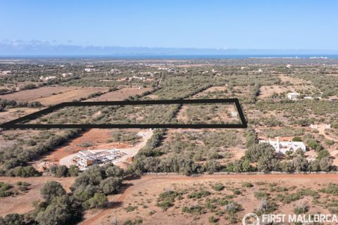 Terra a Campos, Mallorca, Campos - € 750.000 | Ref: 83830 - foto 4