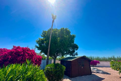 Villa i Catral, Alicante, Catral - € 435.000 | Ref: MM-62514 - foto 18