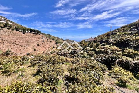 Finca i Torrox, Malaga, Torrox - € 320.000 | Ref: NPSV2527 - foto 22