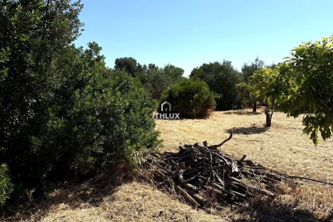 Helårsgrund i Olhao, Faro, Olhao - € 275.000 | Ref: ITH4377 - foto 6