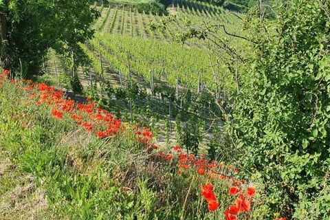 Farm hus i Rocchetta Palafea, Asti, Rocchetta Palafea - € 650.000 | Ref: CR-1306-1177202 - foto 3