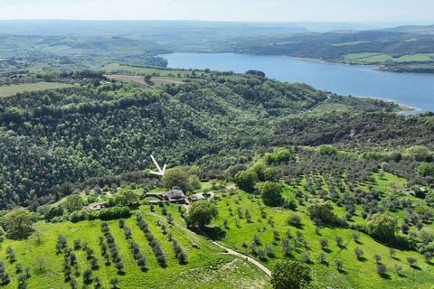 Villa i Baschi, Terni, Baschi - € 590.000 | Ref: CIVITELLA05-1177942 - foto 1