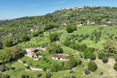 Villa i Baschi, Terni, Baschi - € 590.000 | Ref: CIVITELLA05-1177942 - foto 2