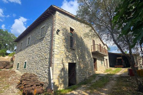 Villa i Baschi, Terni, Baschi - € 590.000 | Ref: CIVITELLA05-1177942 - foto 9