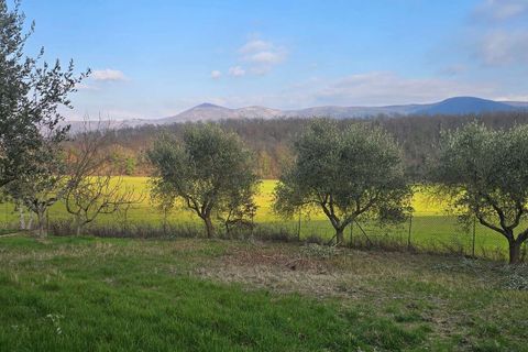 Villa i Acquasparta, Terni, Acquasparta - € 98.000 | Ref: ACQUASPARTA11-1178014 - foto 3