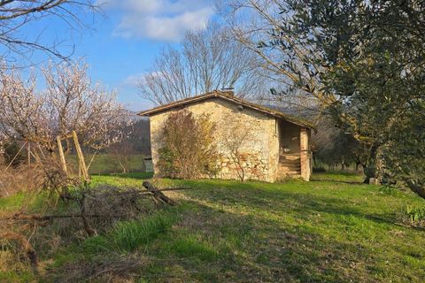Villa i Acquasparta, Terni, Acquasparta - € 98.000 | Ref: ACQUASPARTA11-1178014 - foto 11