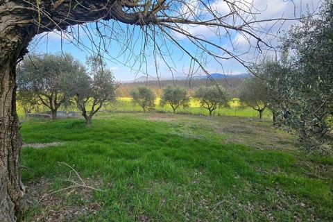Villa i Acquasparta, Terni, Acquasparta - € 250.000 | Ref: ACQUASPARTA12-1178027 - foto 15