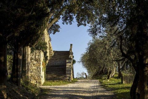 Villa i Florence, Florence, Florence - € 5 900 000 | Ref: LA-7803-1178876 - foto 23