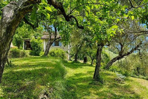 Villa i Pigna, Imperia, Pigna - € 390.000 | Ref: D429 -1182523 - foto 8