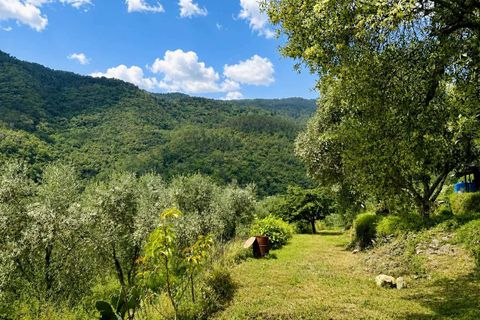 Villa i Pigna, Imperia, Pigna - € 390.000 | Ref: D429 -1182523 - foto 21