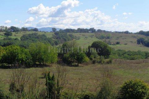 Villa i Amelia, Terni, Amelia - € 350.000 | Ref: 66-1182594 - foto 3