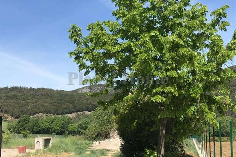 Terra a Amelia, Terni, Amelia - € 65.000 | Ref: 79-1182781 - foto 3