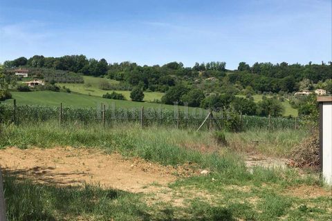 Terra a Amelia, Terni, Amelia - € 65.000 | Ref: 79-1182781 - foto 5