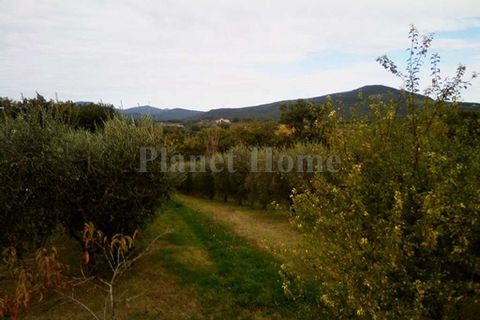 Helårsgrund i Amelia, Terni, Amelia - € 50.000 | Ref: 85-1182789 - foto 1