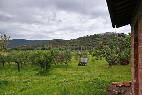 Helårsgrund i Amelia, Terni, Amelia - € 74.000 | Ref: 86A-1182791 - foto 3