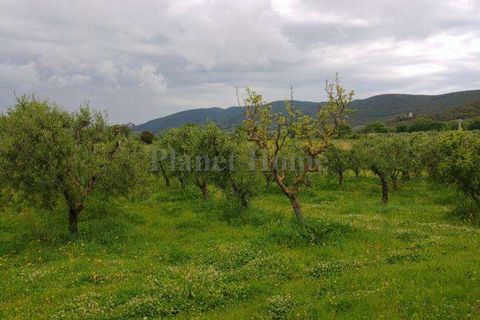Helårsgrund i Amelia, Terni, Amelia - € 74.000 | Ref: 86A-1182791 - foto 7