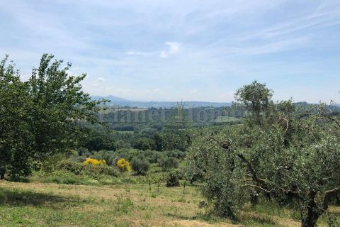 Villa i Amelia, Terni, Amelia - € 830.000 | Ref: 473-1182816 - foto 19