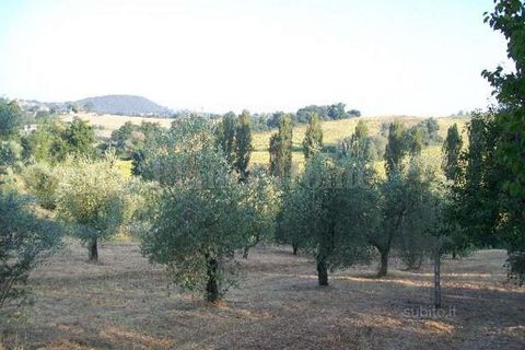 Helårsgrund i Amelia, Terni, Amelia - € 18.000 | Ref: 473-1182945 - foto 2