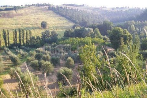 Helårsgrund i Amelia, Terni, Amelia - € 18.000 | Ref: 473-1182945 - foto 3