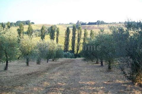 Helårsgrund i Amelia, Terni, Amelia - € 18.000 | Ref: 473-1182945 - foto 5