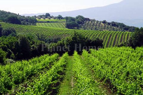 Landejendom i Cinigiano, Grosseto, Cinigiano - € 1.350.000 | Ref: Z15-1182968 - foto 4