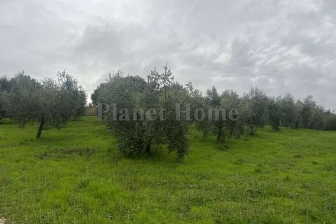 Helårsgrund i Amelia, Terni, Amelia - € 130.000 | Ref: 72-1183121 - foto 8