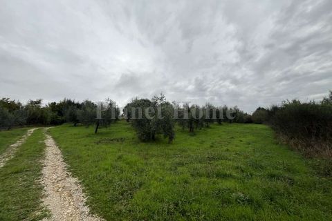 Helårsgrund i Amelia, Terni, Amelia - € 130.000 | Ref: 72-1183121 - foto 9