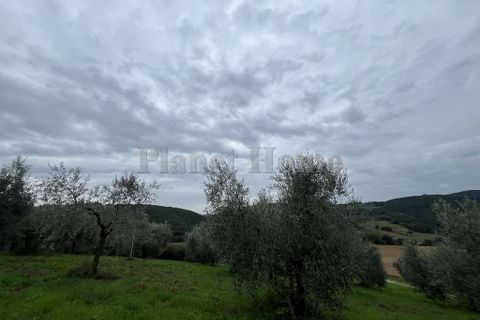 Helårsgrund i Amelia, Terni, Amelia - € 130.000 | Ref: 72-1183121 - foto 14