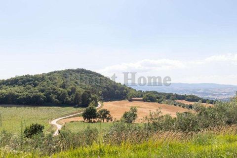 Villa i Collazzone, Perugia, Collazzone - € 570.000 | Ref: 109-1183136 - foto 9