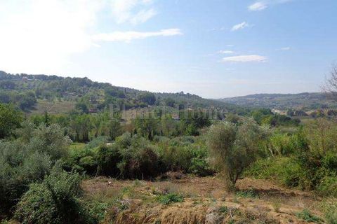 Villa i Amelia, Terni, Amelia - € 300.000 | Ref: 456-1183365 - foto 15