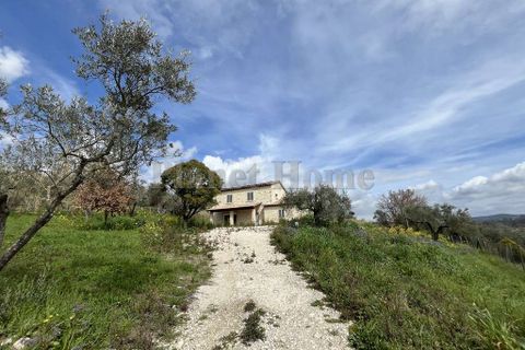 Villa i Amelia, Terni, Amelia - € 850.000 | Ref: 105-1183498 - foto 2