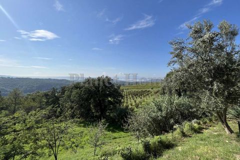 Villa i Amelia, Terni, Amelia - € 230.000 | Ref: 42A-1183524 - foto 16