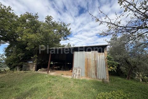 Helårsgrund i Gualdo Cattaneo, Perugia, Gualdo Cattaneo - € 130.000 | Ref: T2-1183550 - foto 4
