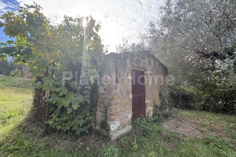 Helårsgrund i Gualdo Cattaneo, Perugia, Gualdo Cattaneo - € 130.000 | Ref: T2-1183550 - foto 5